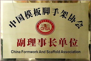 Vice-Chairman-Unit-of-China-Formwork-and-Scaffolding-Association